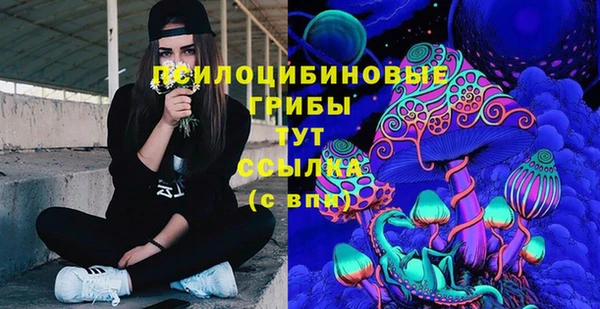 первитин Арсеньев