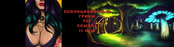 первитин Арсеньев