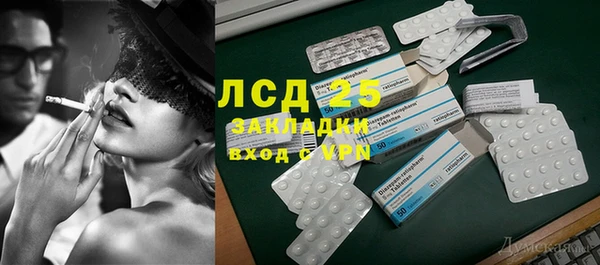 ГАЛЛЮЦИНОГЕННЫЕ ГРИБЫ Аркадак